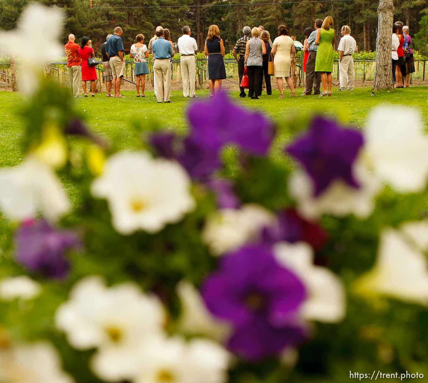 Canon EOS-1D Mark II N