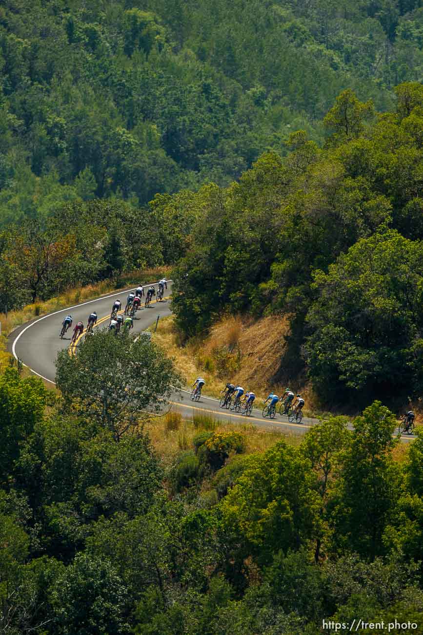 Canon EOS-1D Mark IV