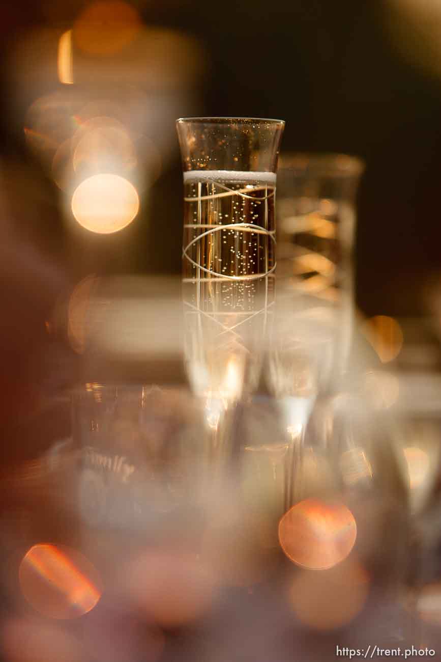 Canon EOS-1D Mark IV