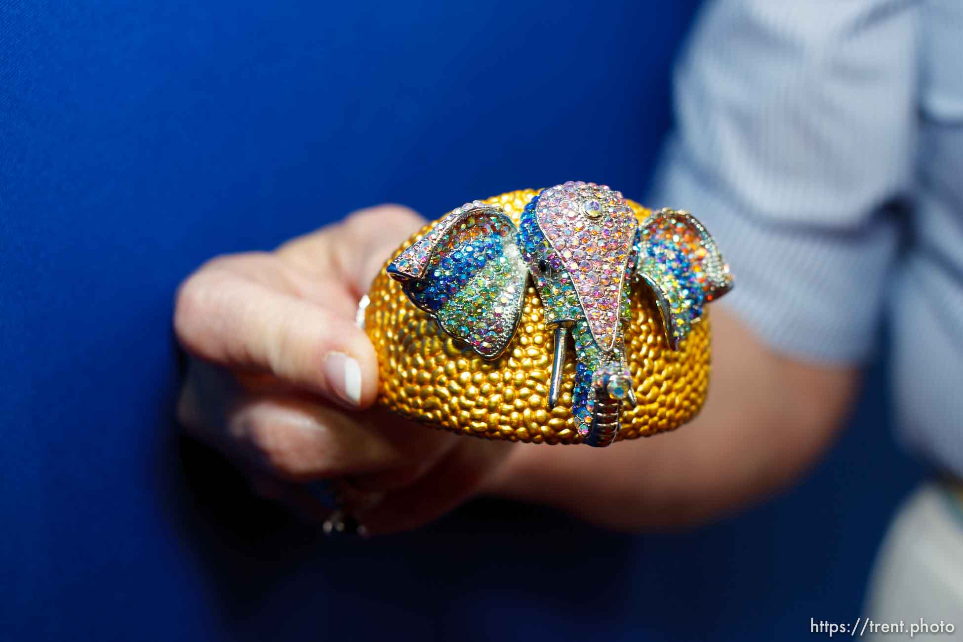 Canon EOS-1D Mark II N