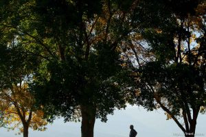 Trent Nelson  |  The Salt Lake Tribune
Retiring LDS Church historian Merlin Jensen Wednesday October 3, 2012 at his home in Huntsville, Utah.