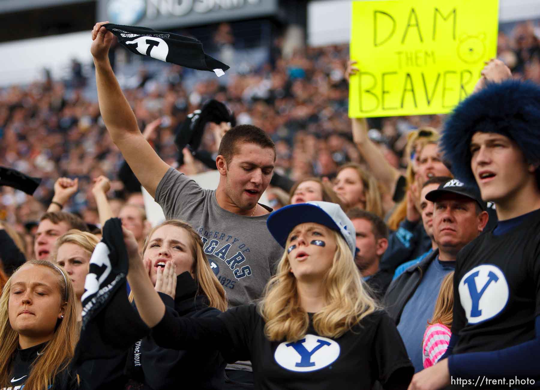 Canon EOS-1D Mark IV