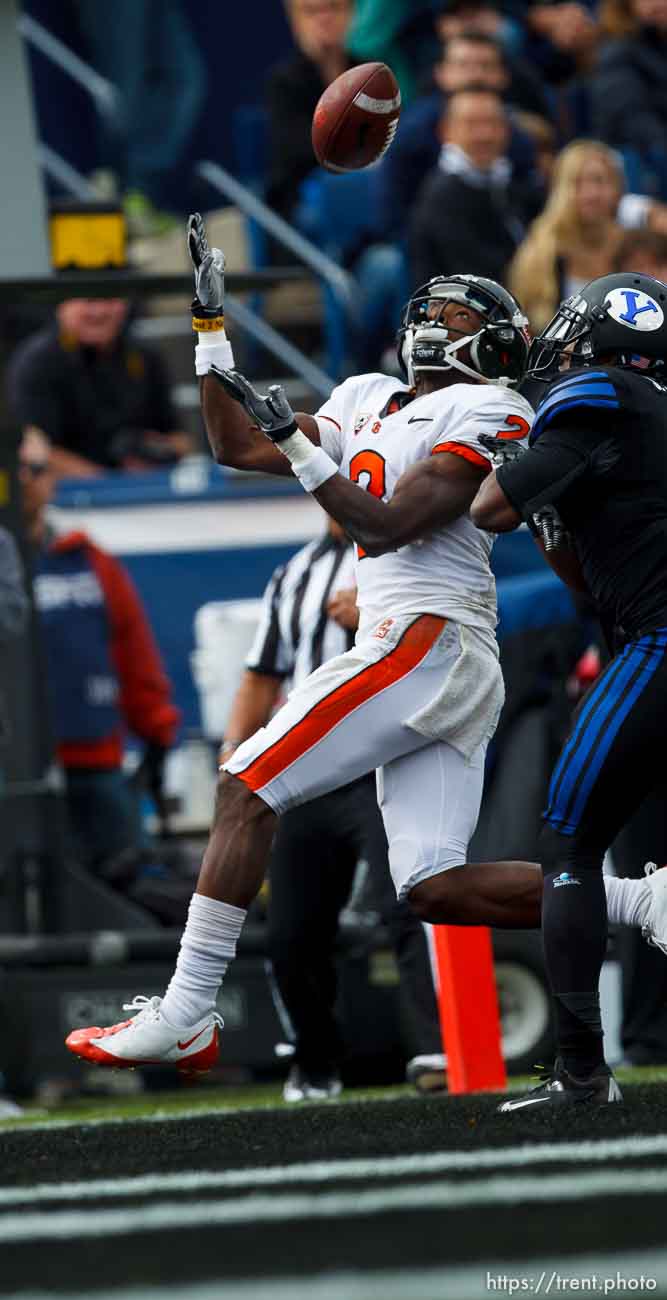 Canon EOS-1D Mark IV