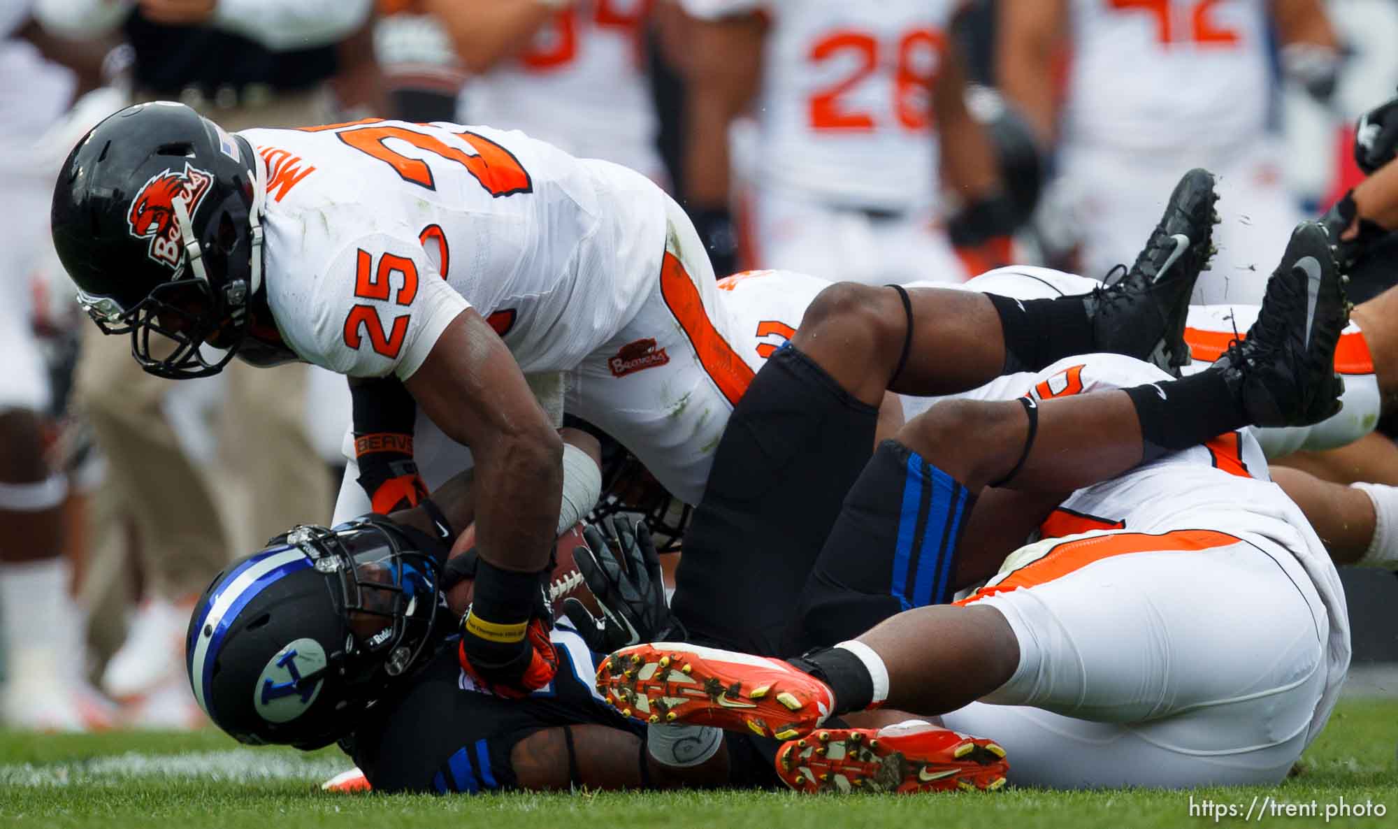 Canon EOS-1D Mark IV