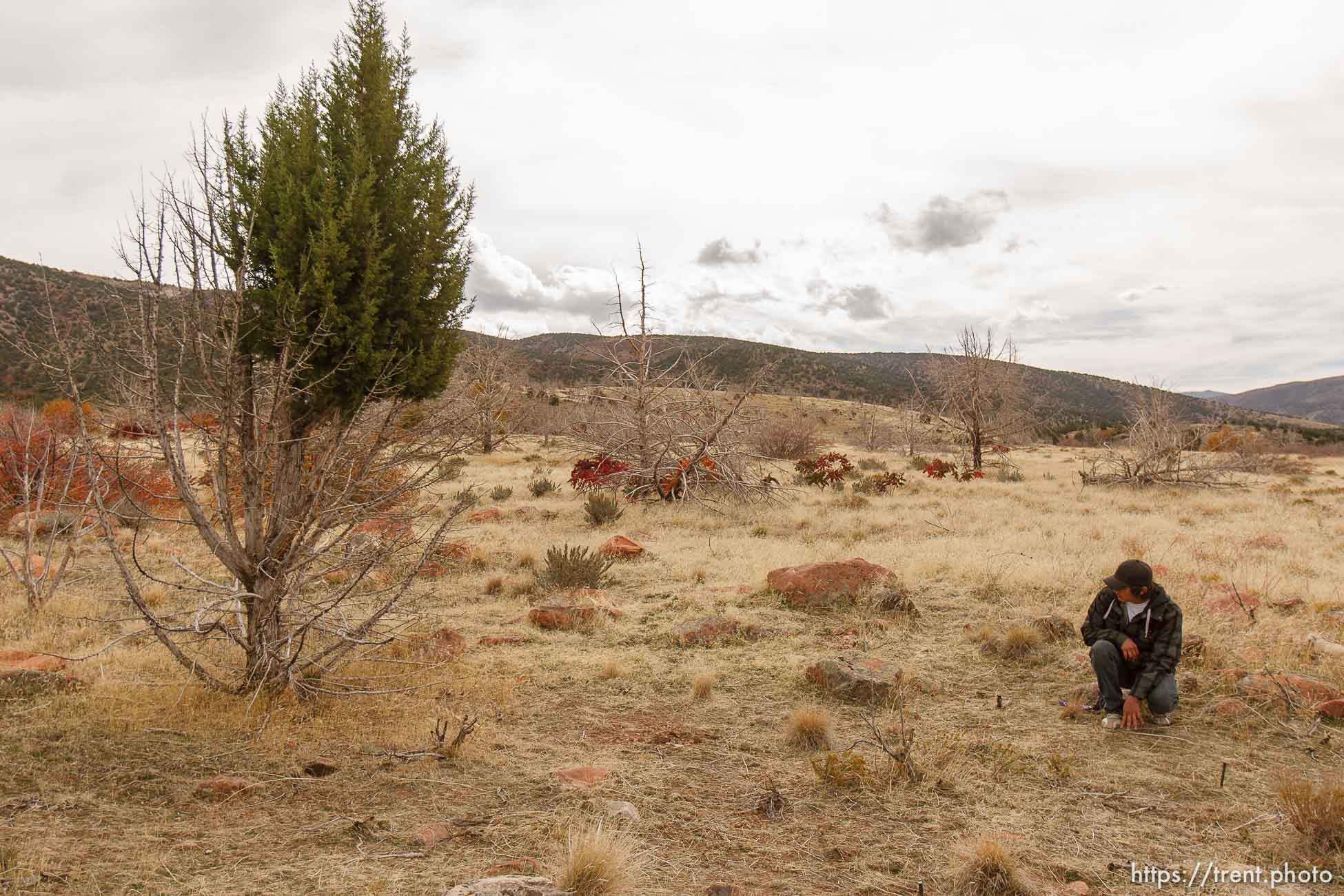 Canon EOS-1D Mark IV