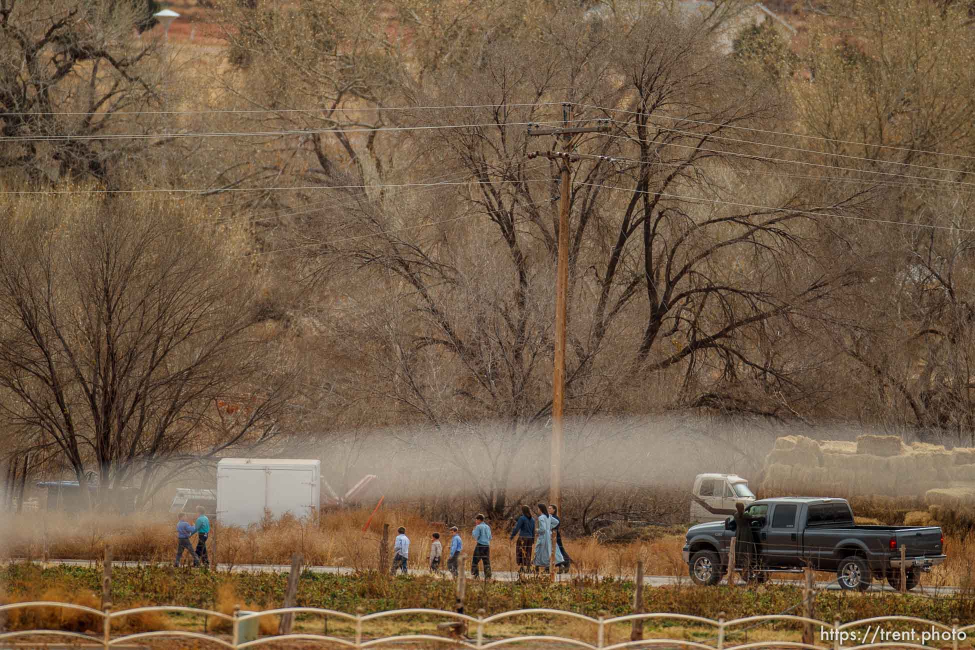 Canon EOS-1D Mark IV