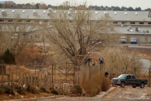kids climbing gate to the zoo, Friday November 30, 2012.