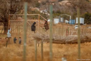 kids climbing gate to the zoo, Friday November 30, 2012.