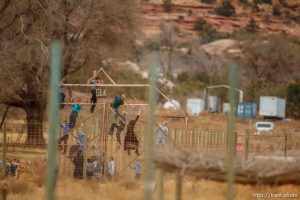 kids climbing gate to the zoo, Friday November 30, 2012.
