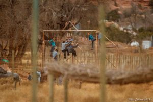 kids climbing gate to the zoo, Friday November 30, 2012.