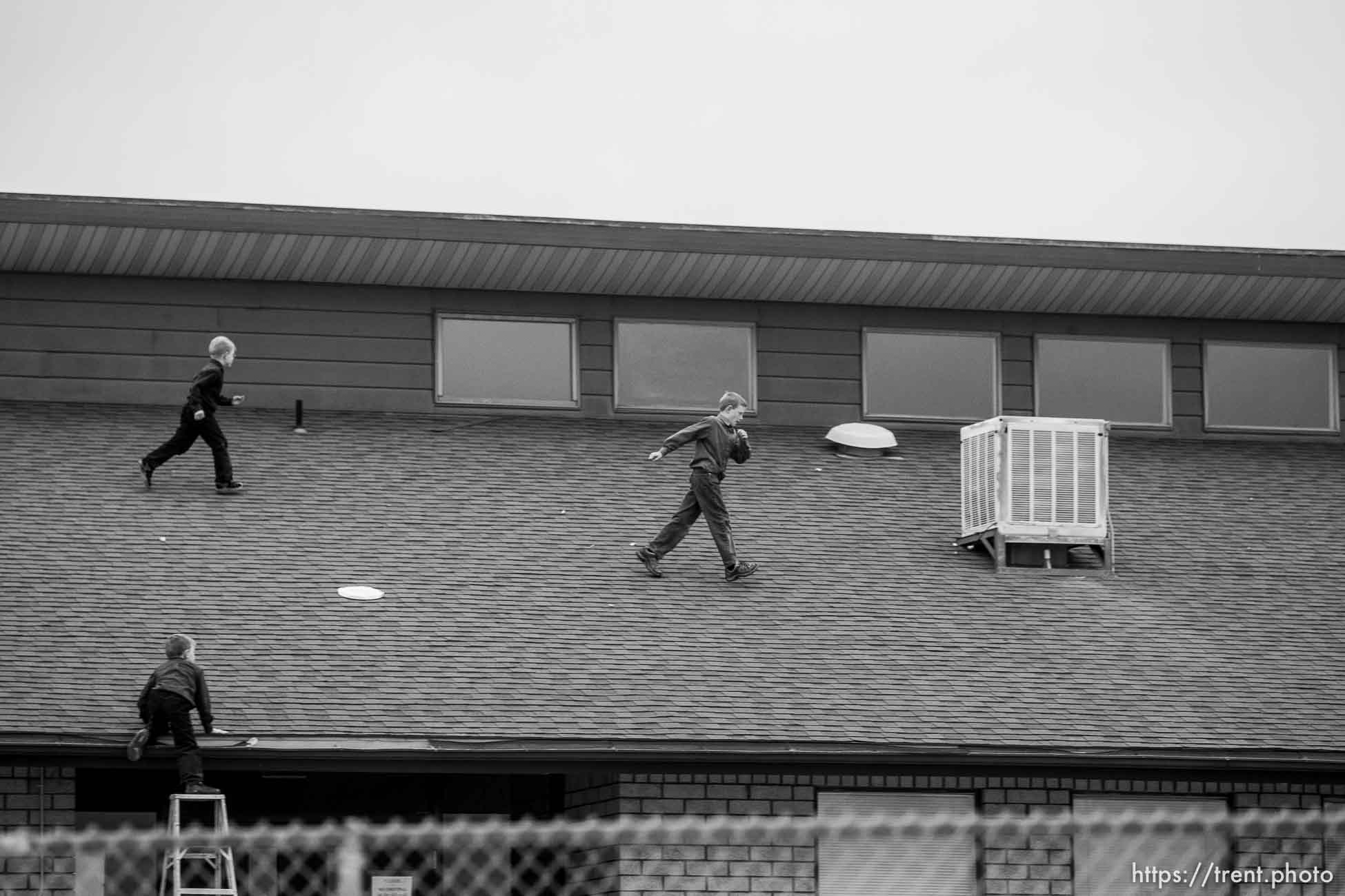 Canon EOS-1D Mark II N