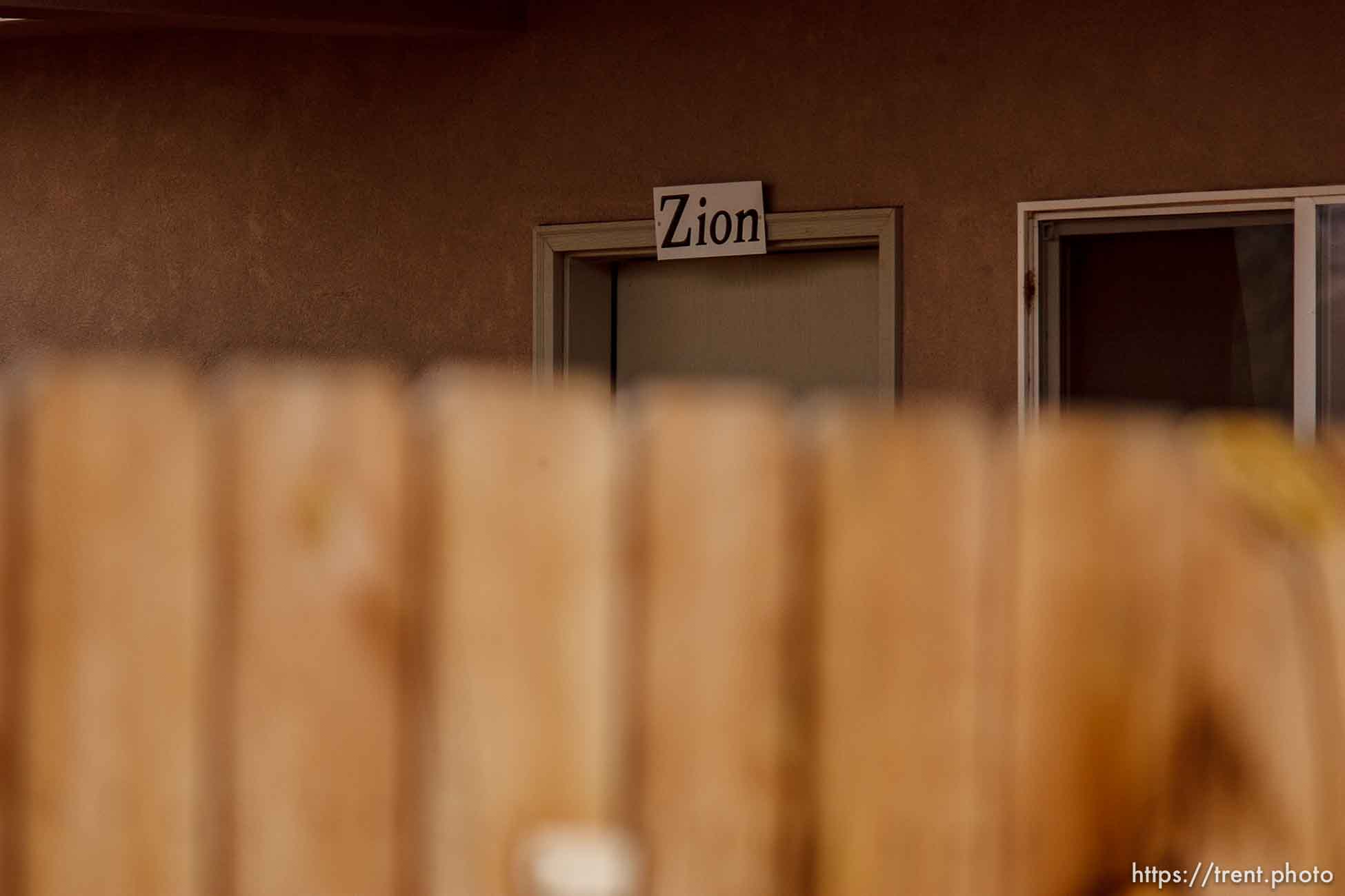 Polygamy in the American West