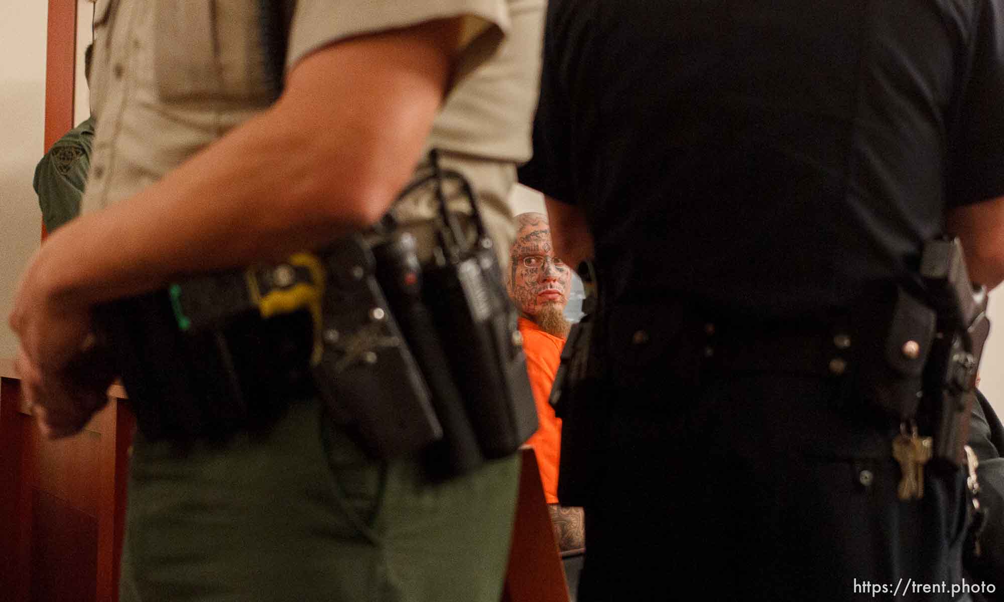 Canon EOS-1D Mark IV