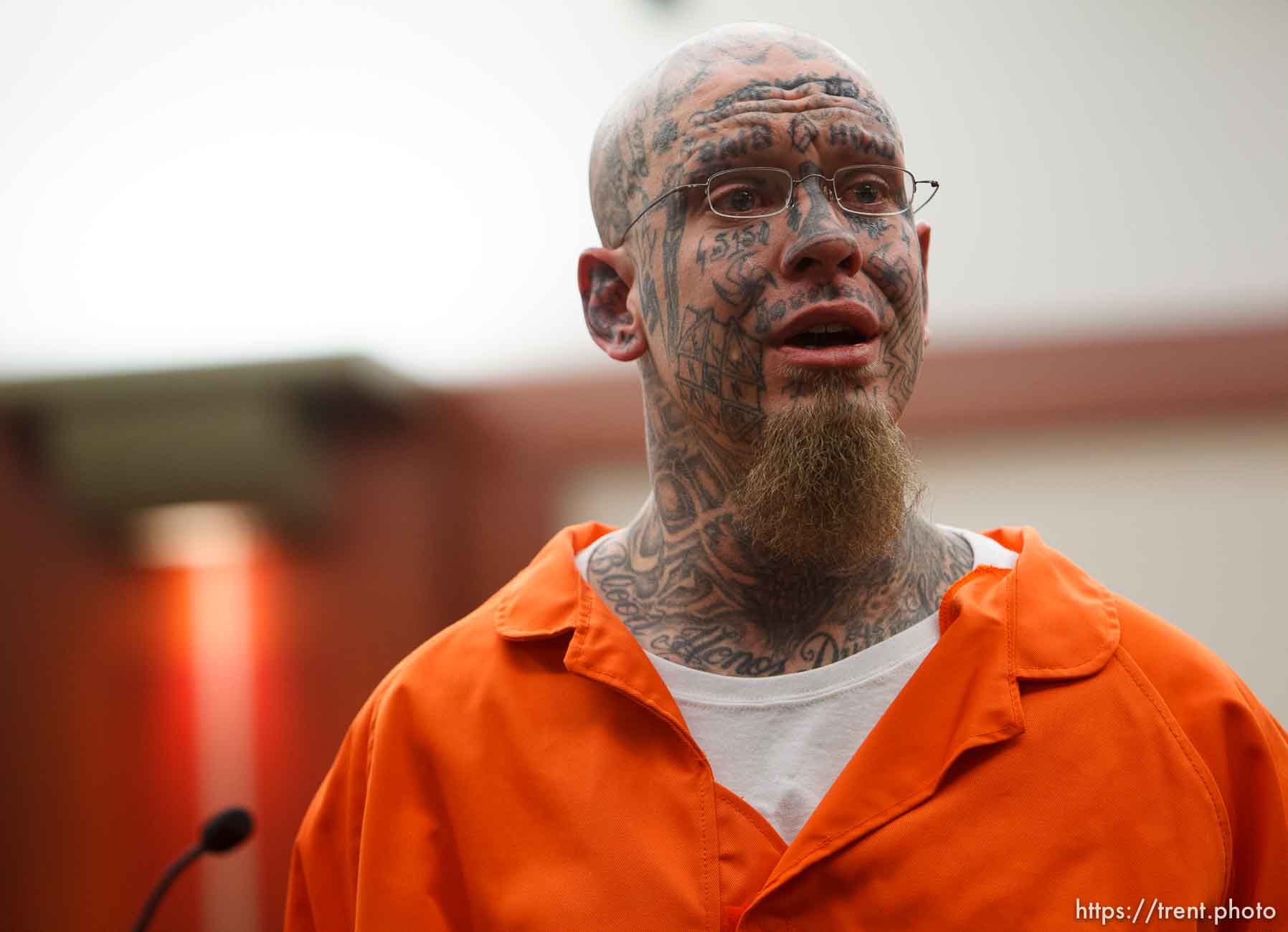 Canon EOS-1D Mark IV