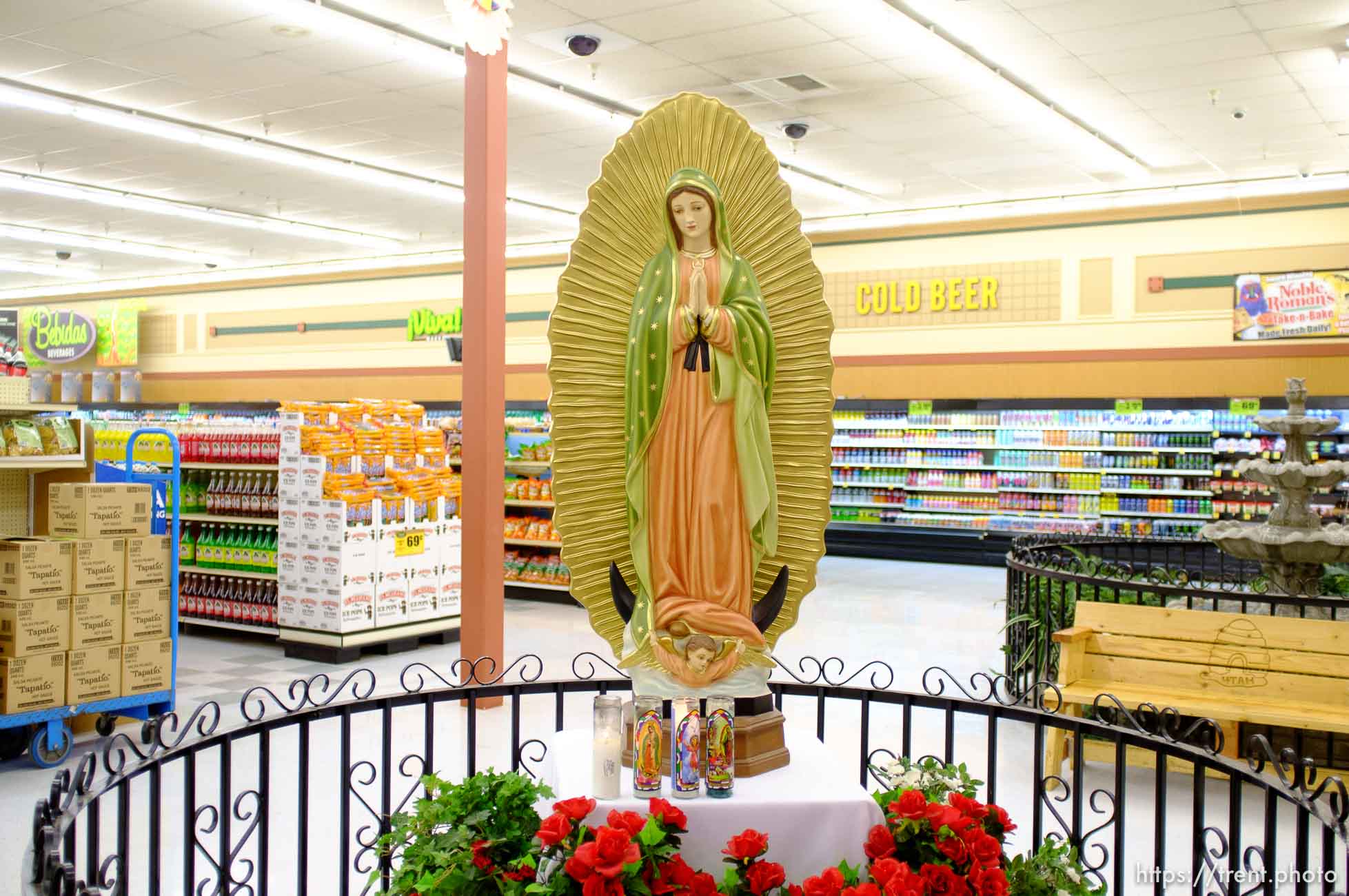 Canon EOS-1D Mark IV