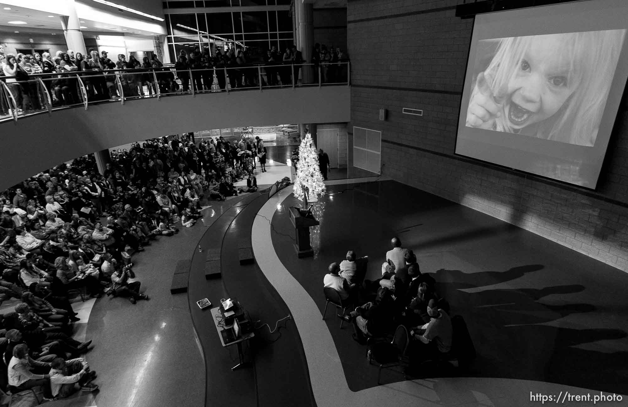 Canon EOS-1D Mark II N