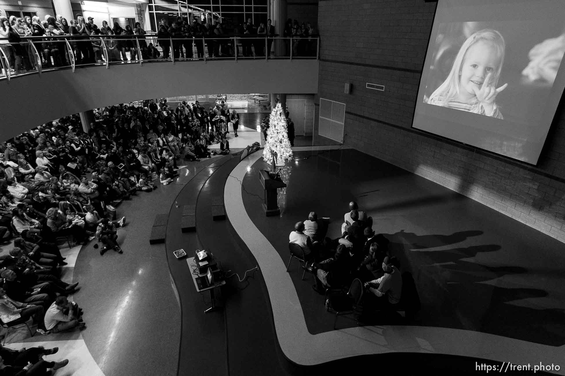 Canon EOS-1D Mark II N