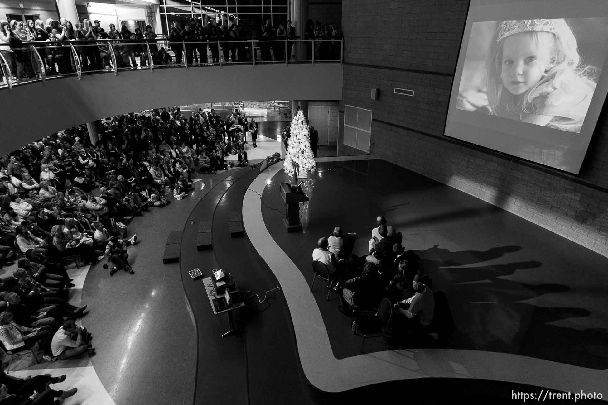 Canon EOS-1D Mark II N