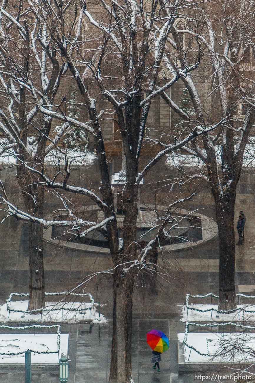 Canon EOS-1D Mark IV