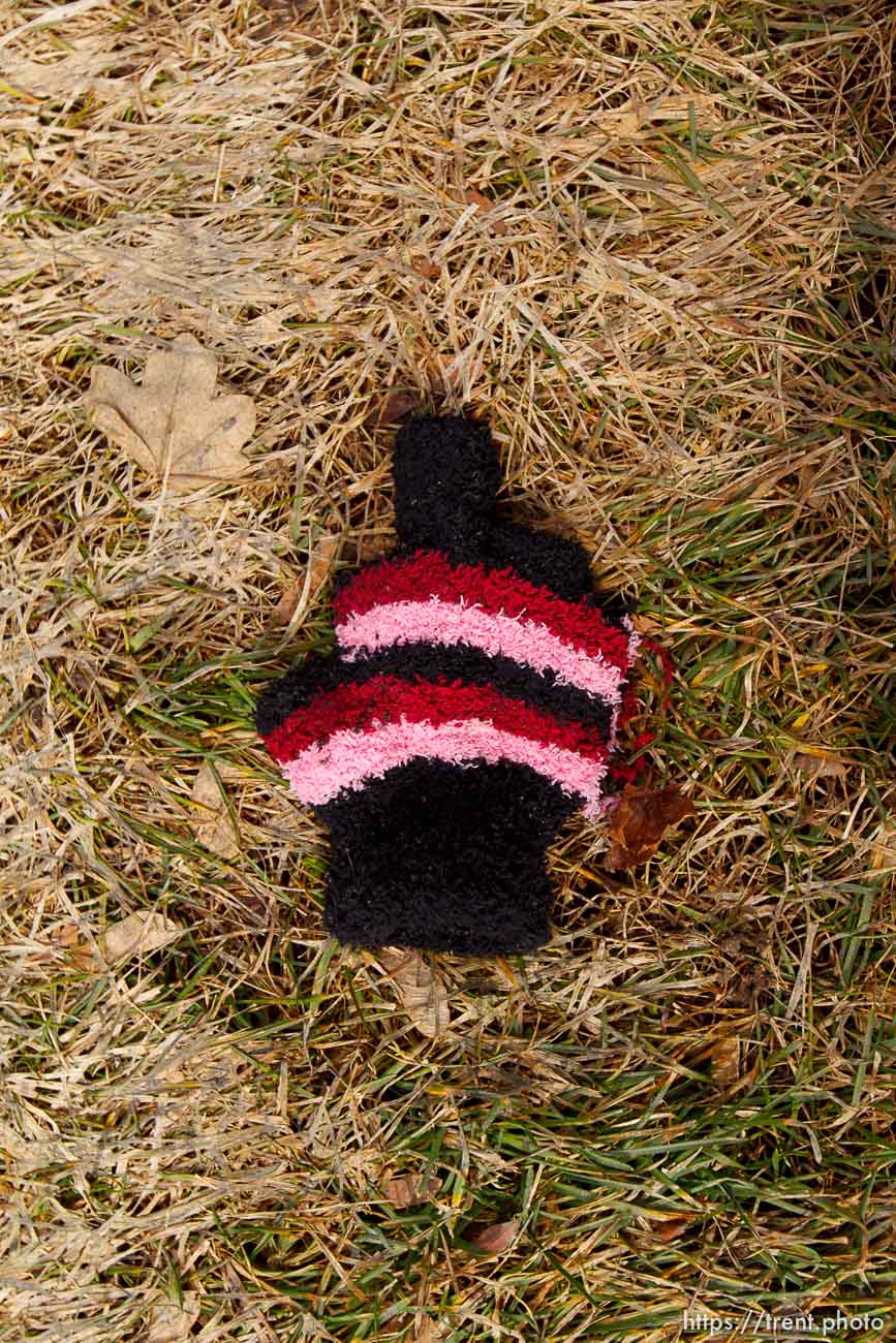 Canon EOS-1D Mark IV