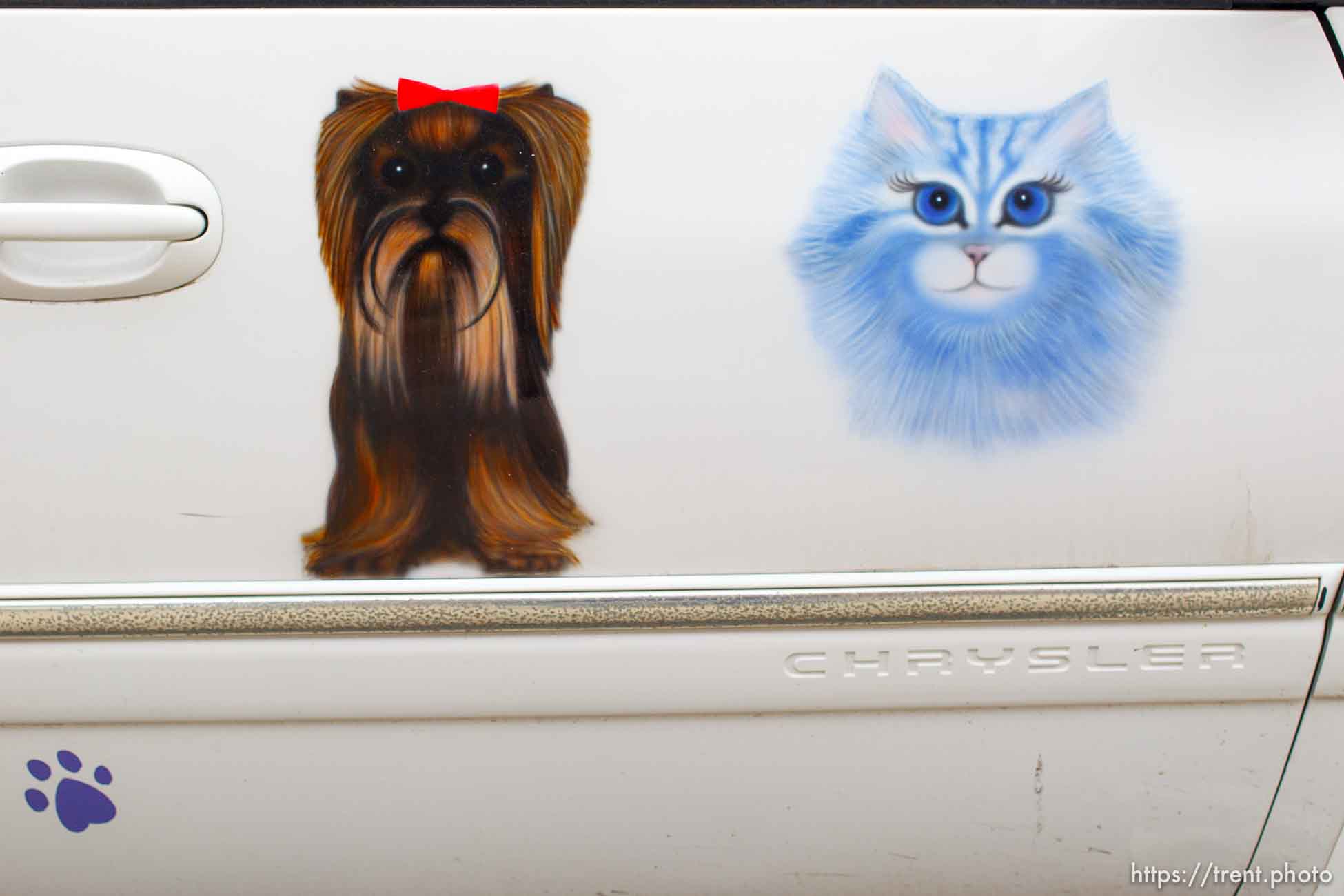 Canon EOS-1D Mark IV