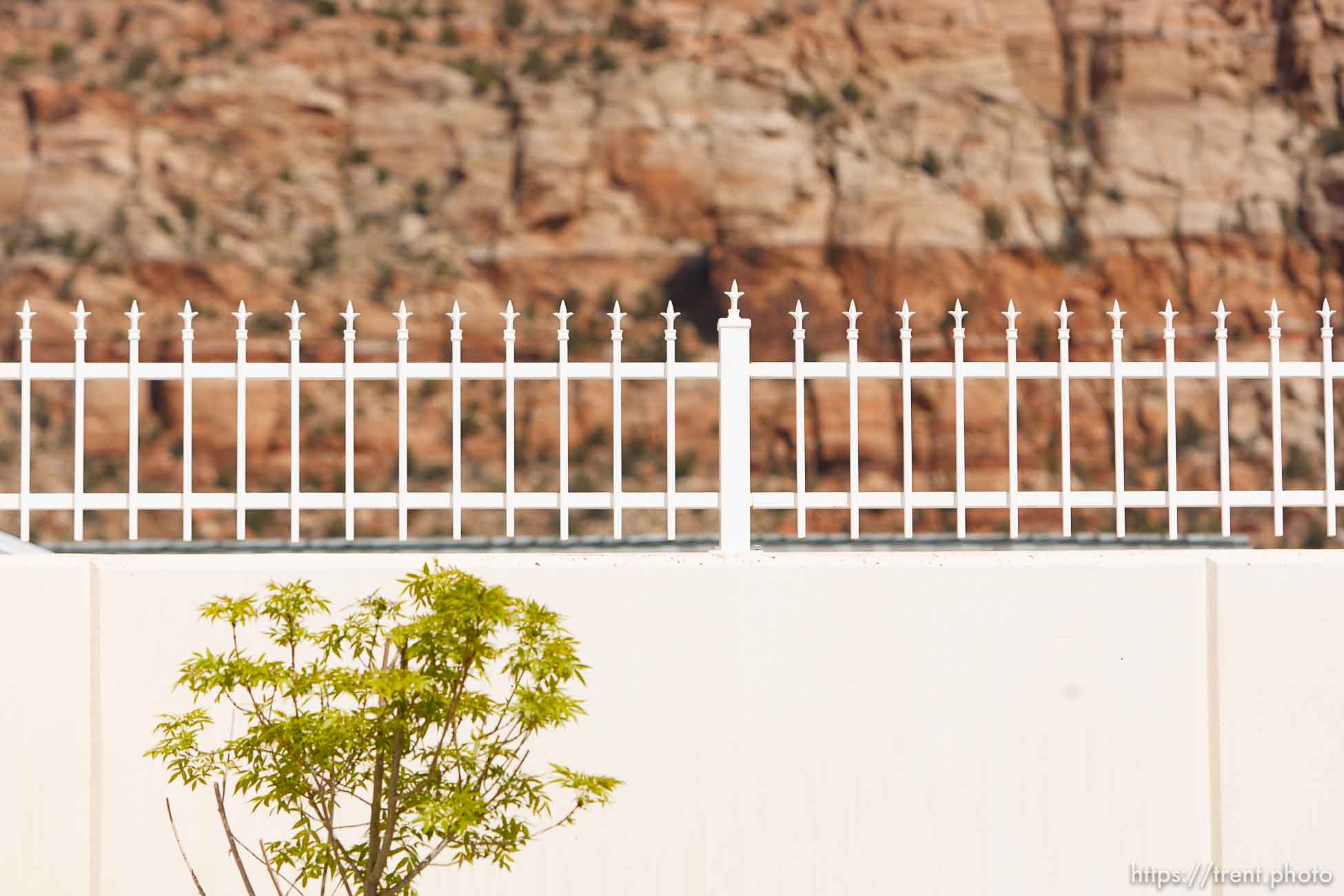 Canon EOS-1D Mark IV