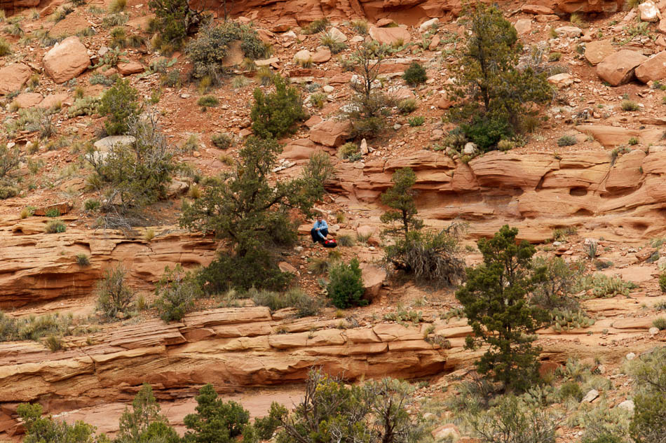 Canon EOS-1D Mark IV