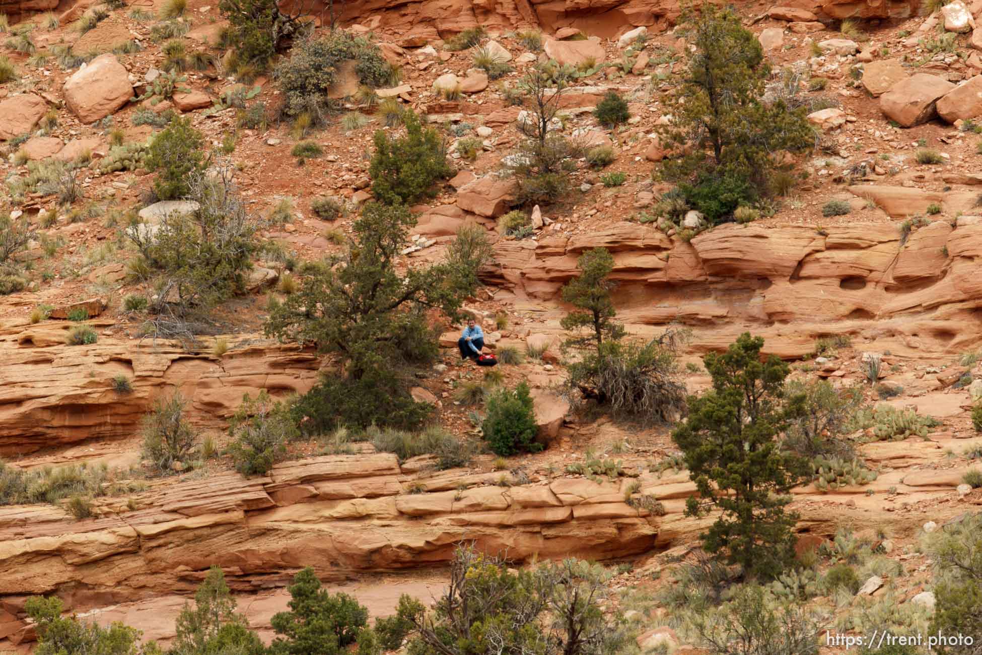 Canon EOS-1D Mark IV