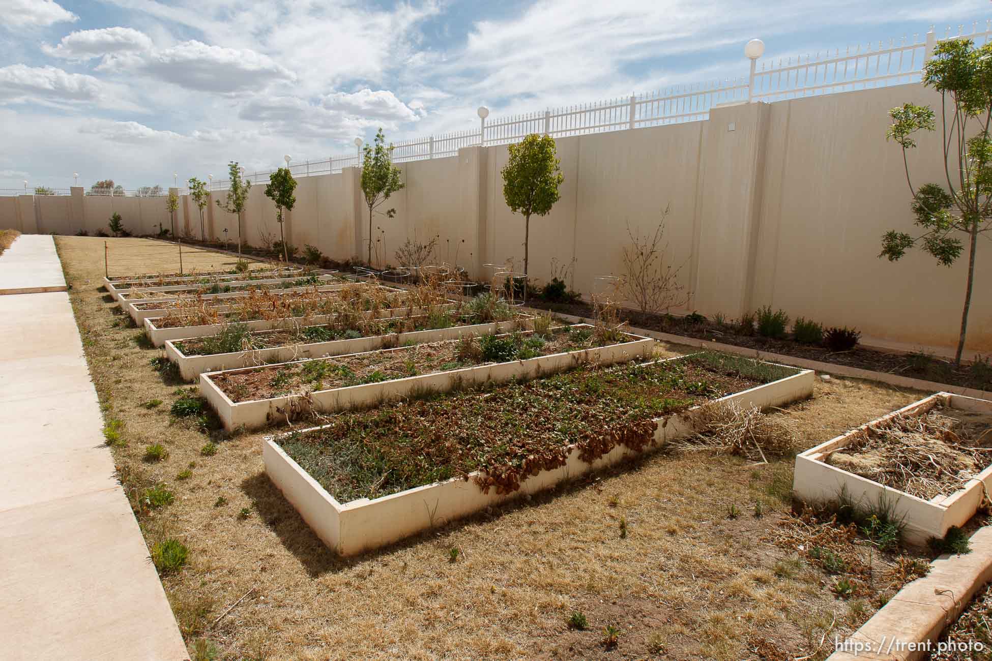 Canon EOS-1D Mark IV