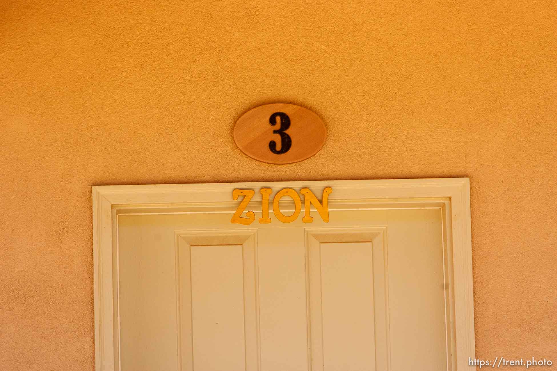 Canon EOS-1D Mark IV