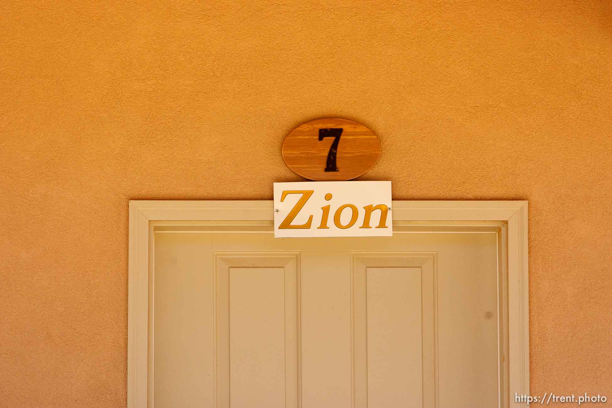 Canon EOS-1D Mark IV