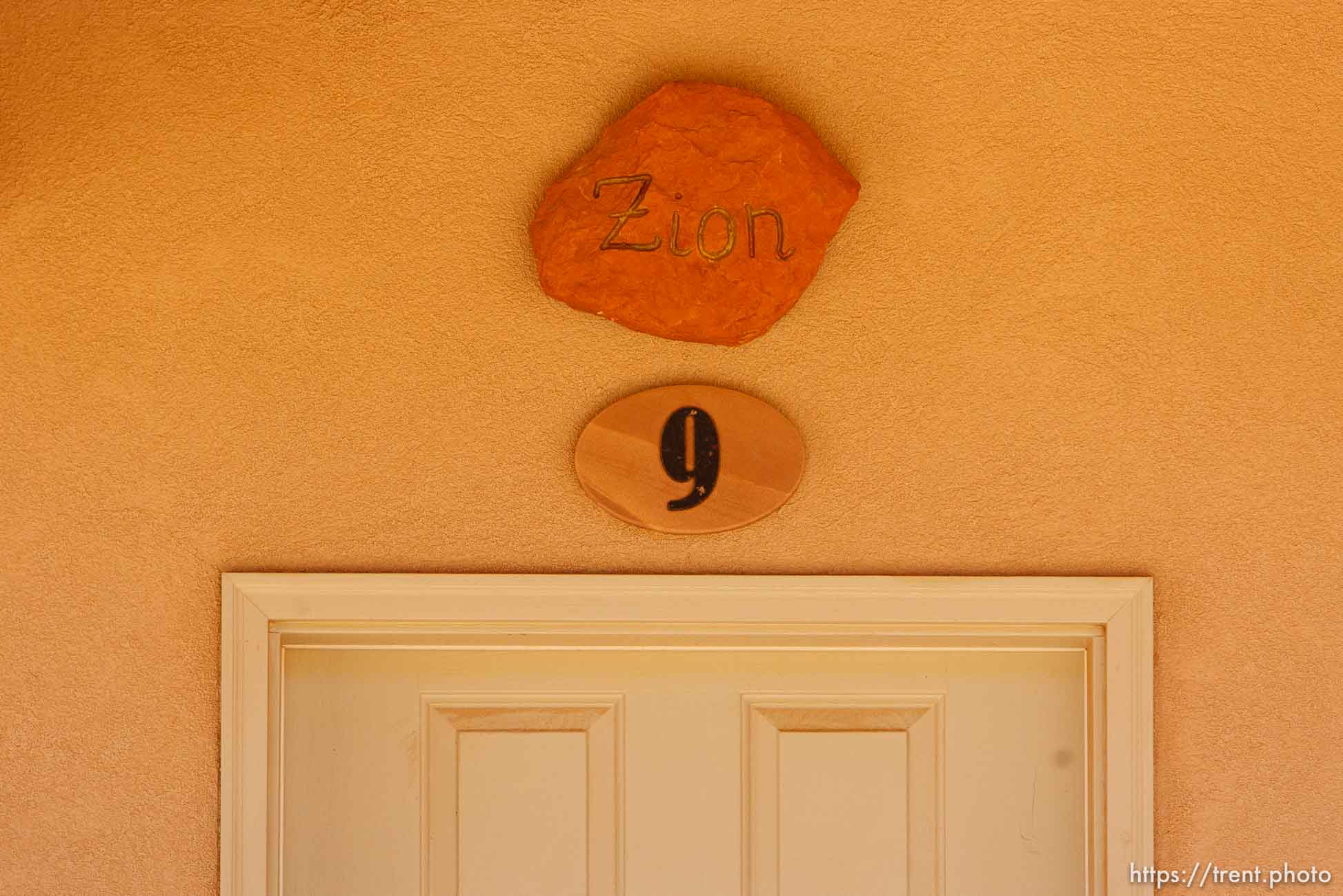 Canon EOS-1D Mark IV