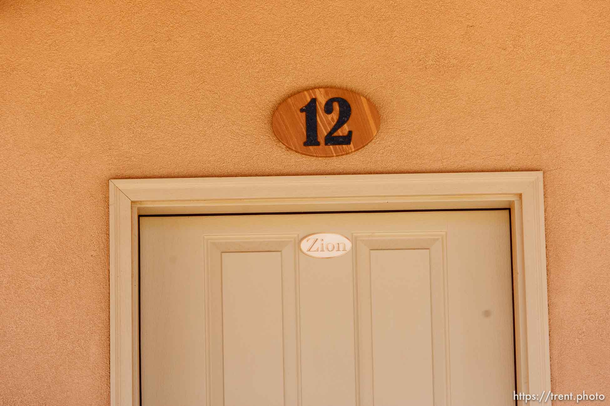 Canon EOS-1D Mark IV