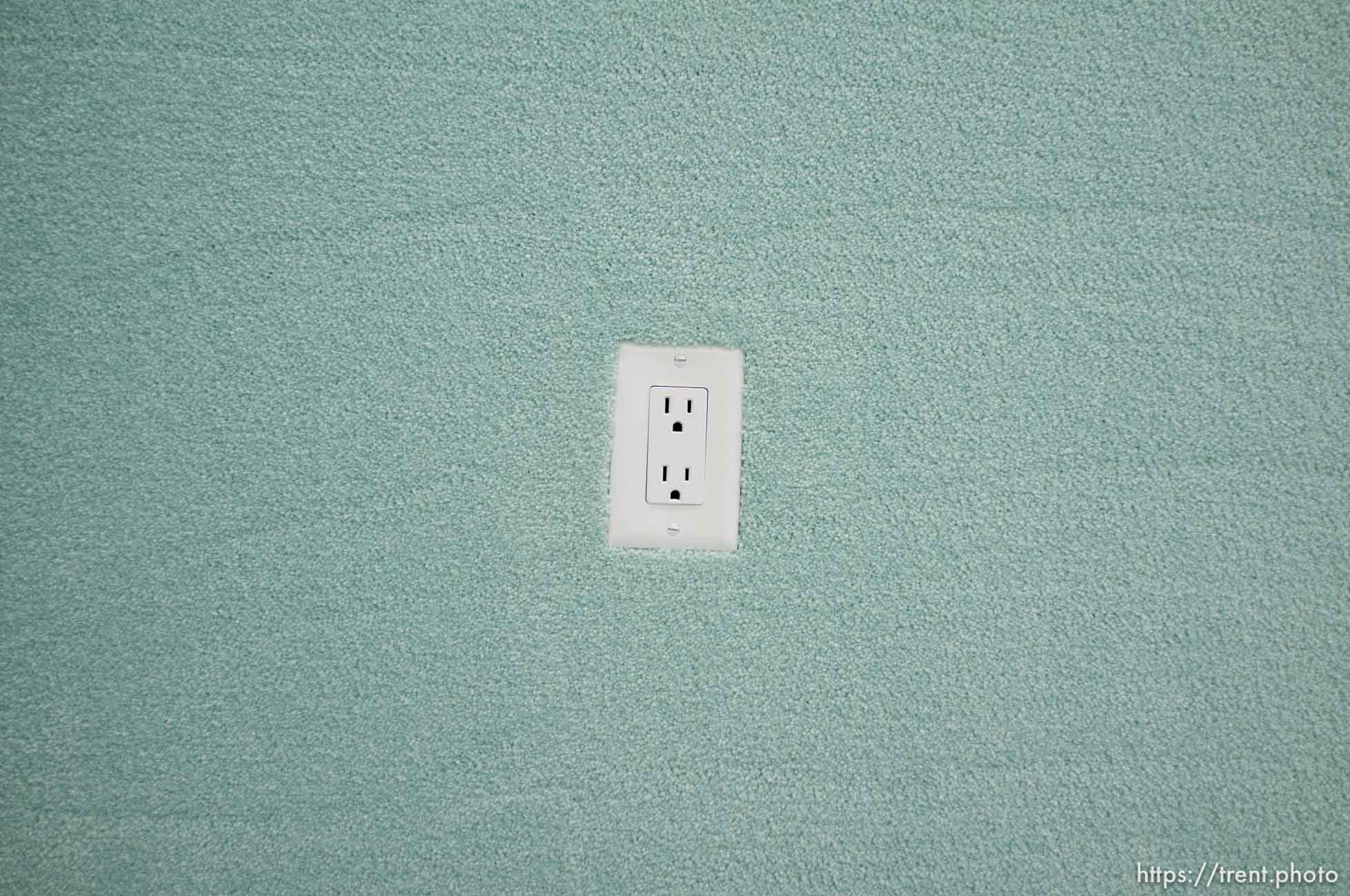 Polygamy in the American West