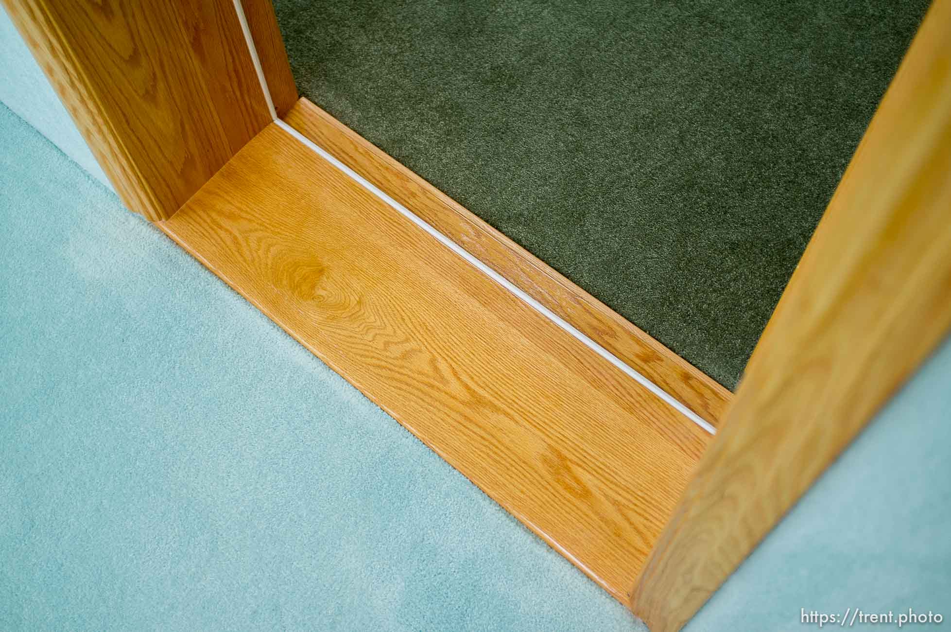 Polygamy in the American West