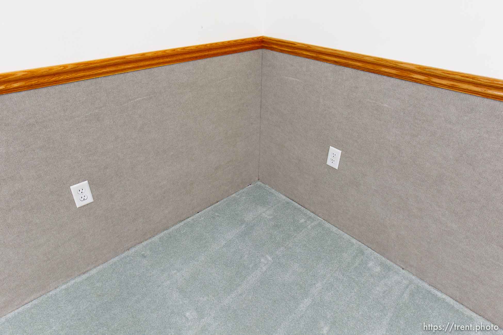 Polygamy in the American West