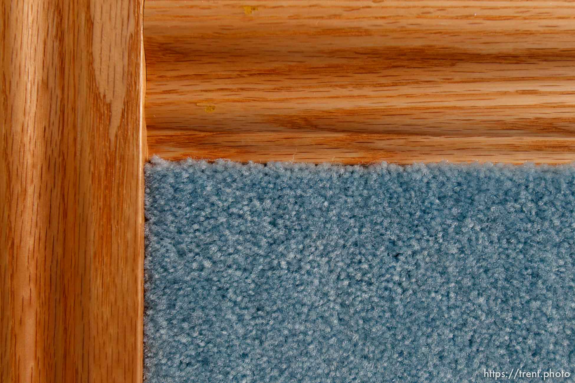 Polygamy in the American West