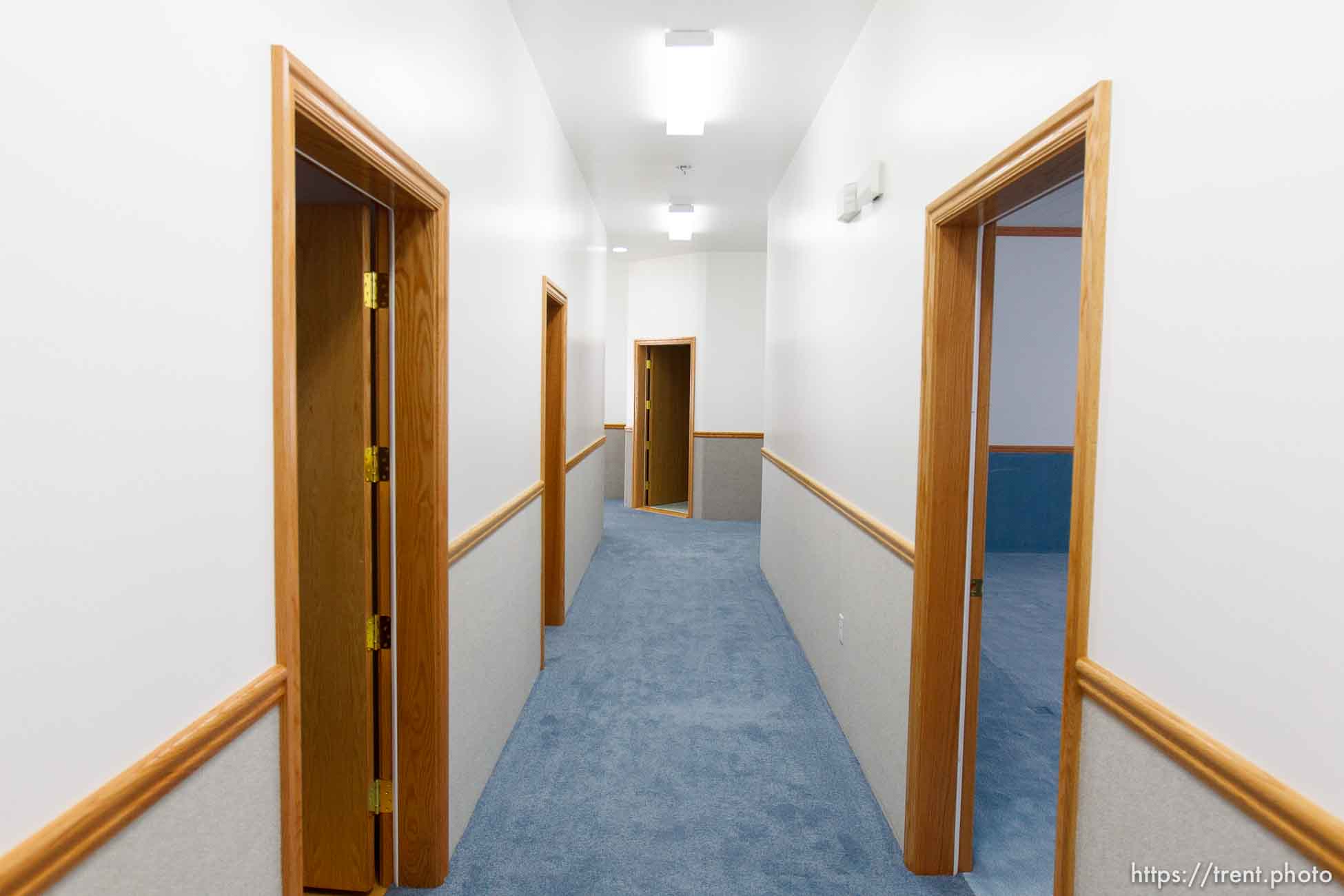 Canon EOS-1D Mark IV