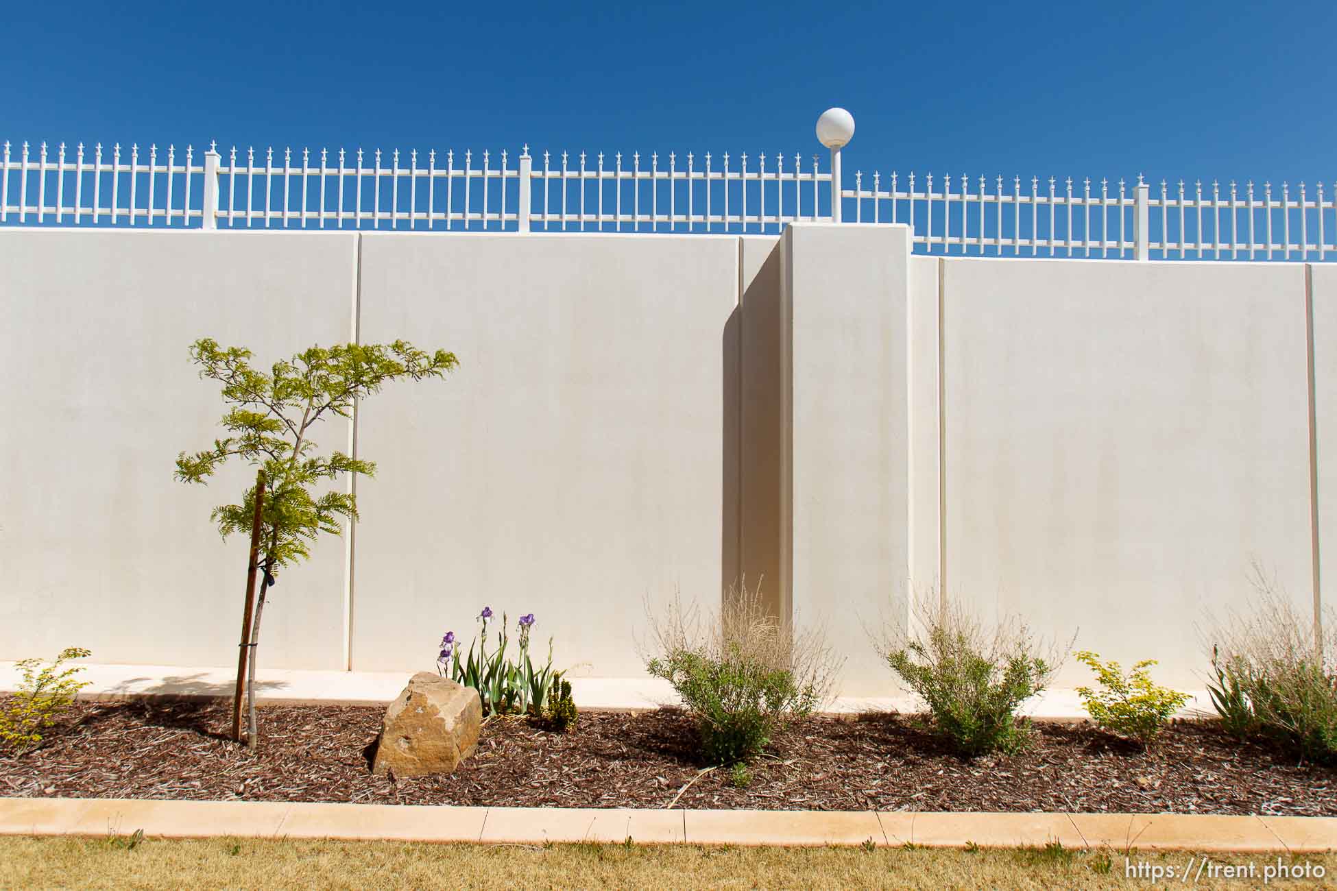 Canon EOS-1D Mark IV