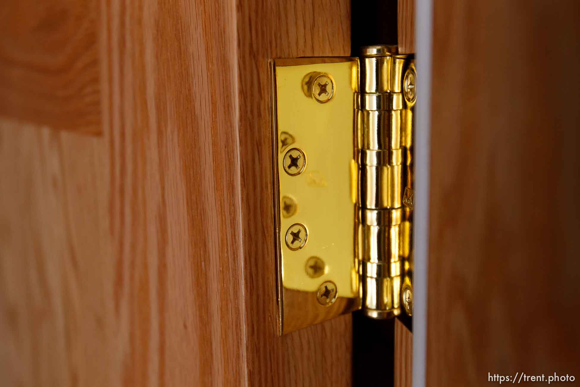 Canon EOS-1D Mark IV