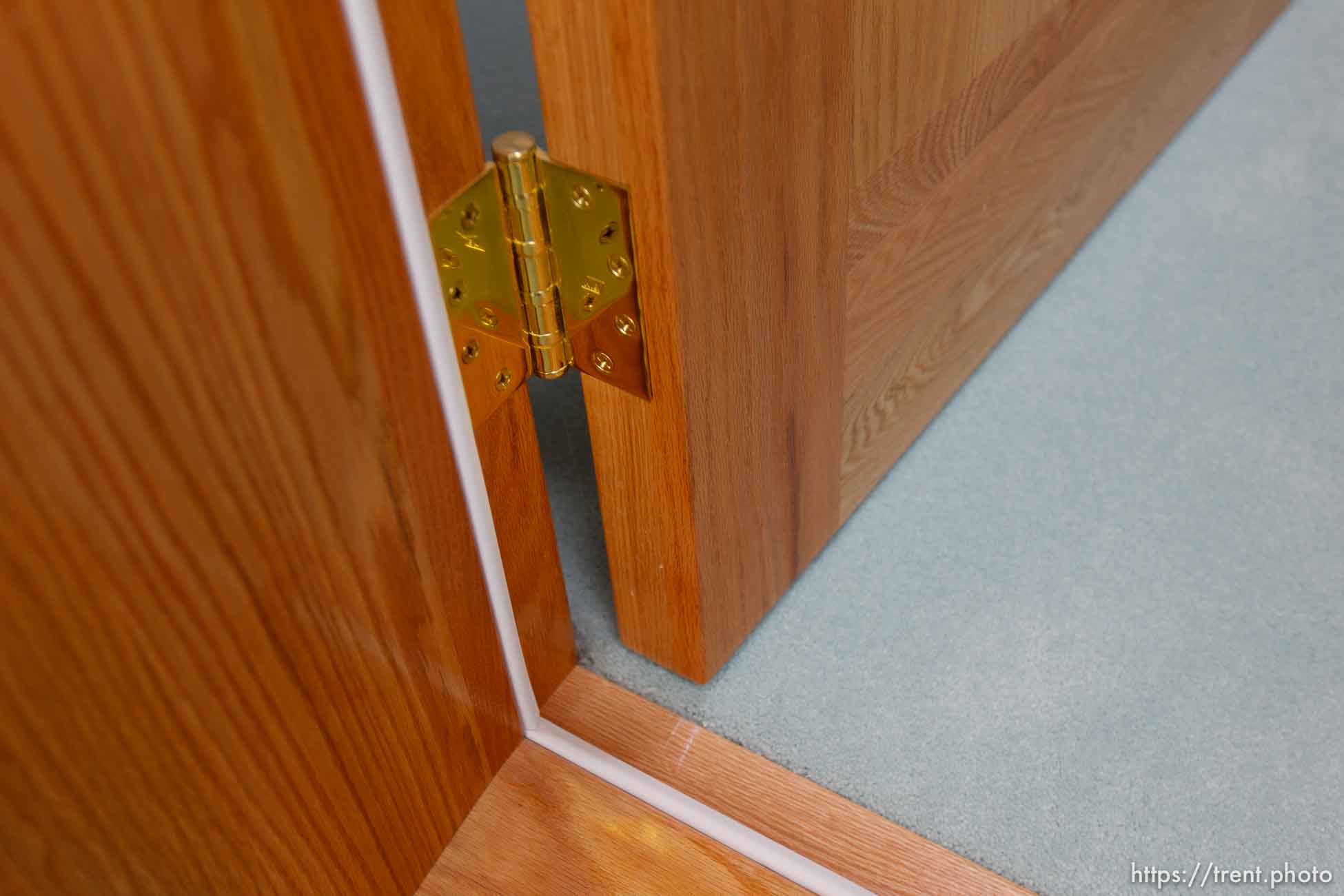 Canon EOS-1D Mark IV