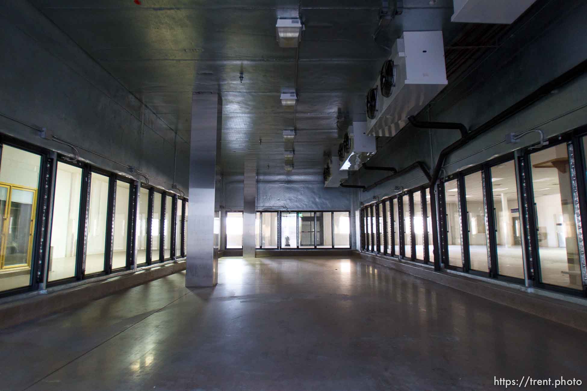 Canon EOS-1D Mark IV