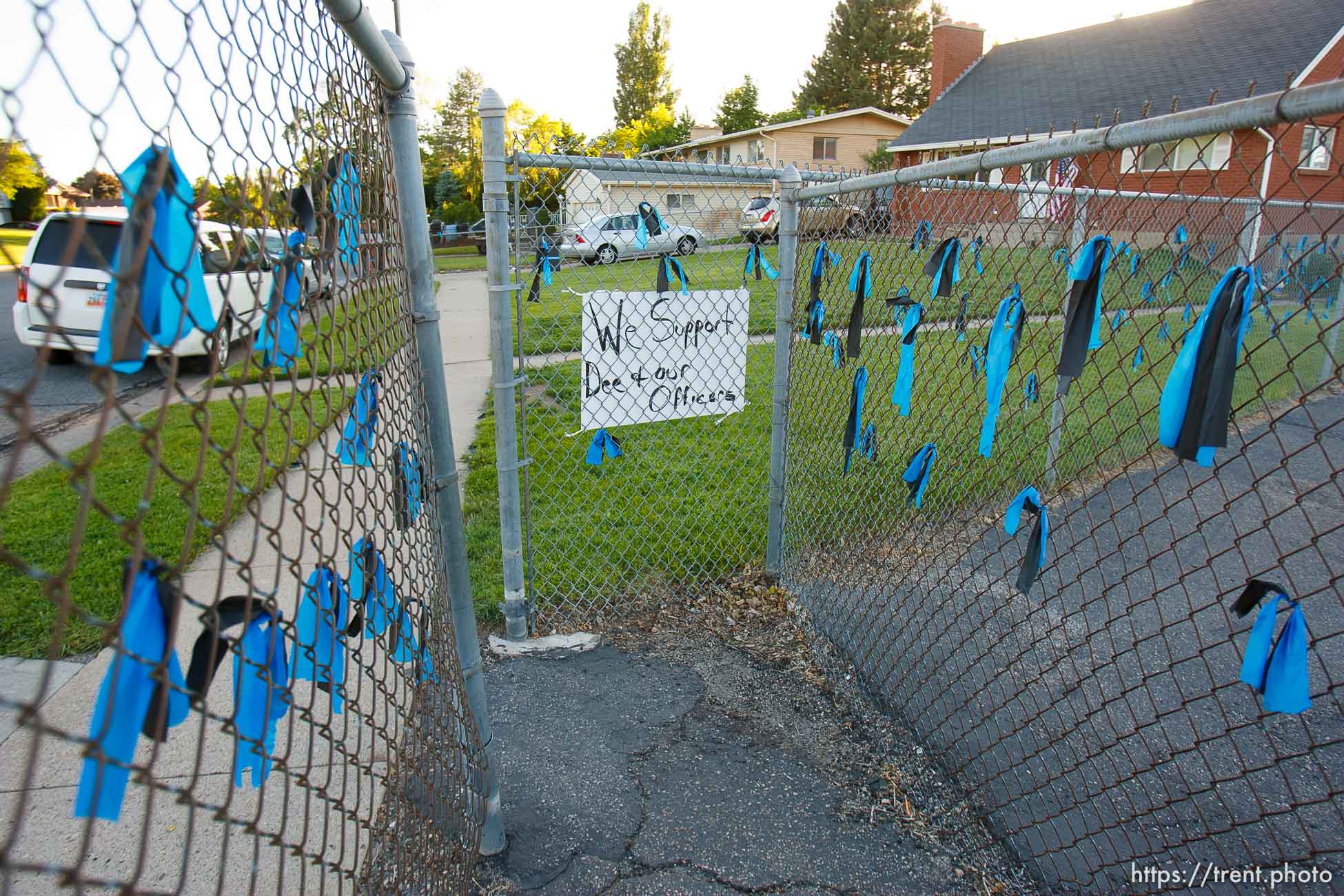 Canon EOS-1D Mark IV