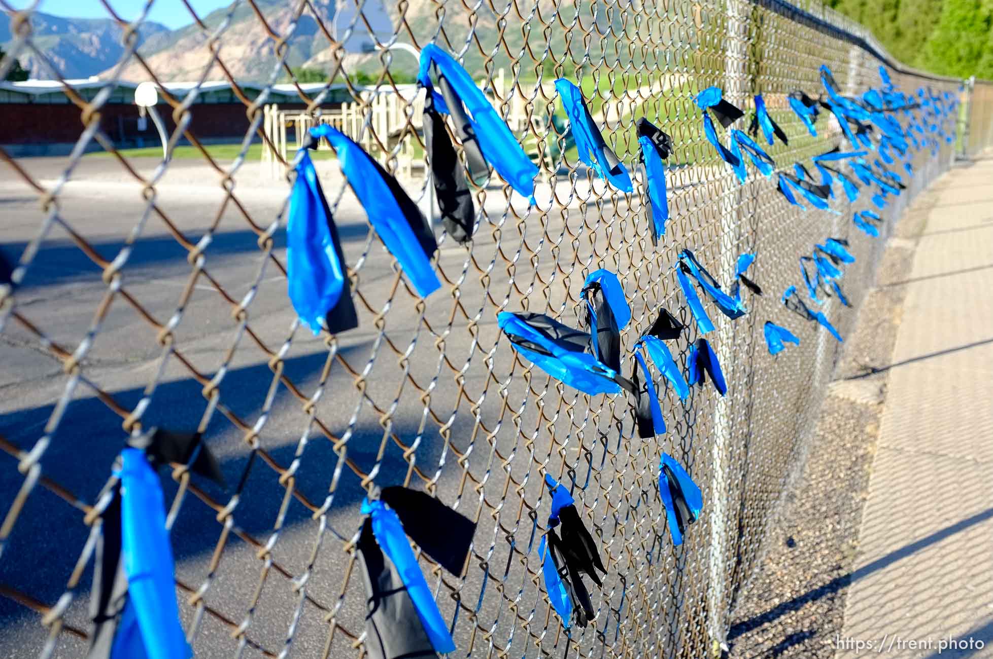 Canon EOS-1D Mark IV