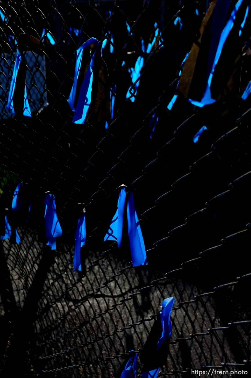 Canon EOS-1D Mark IV