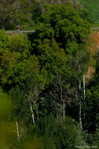 Trent Nelson  |  The Salt Lake Tribune A cyclist climbs to the top of Big Mountain Pass Tuesday June 11, 2013 east of Salt Lake City.