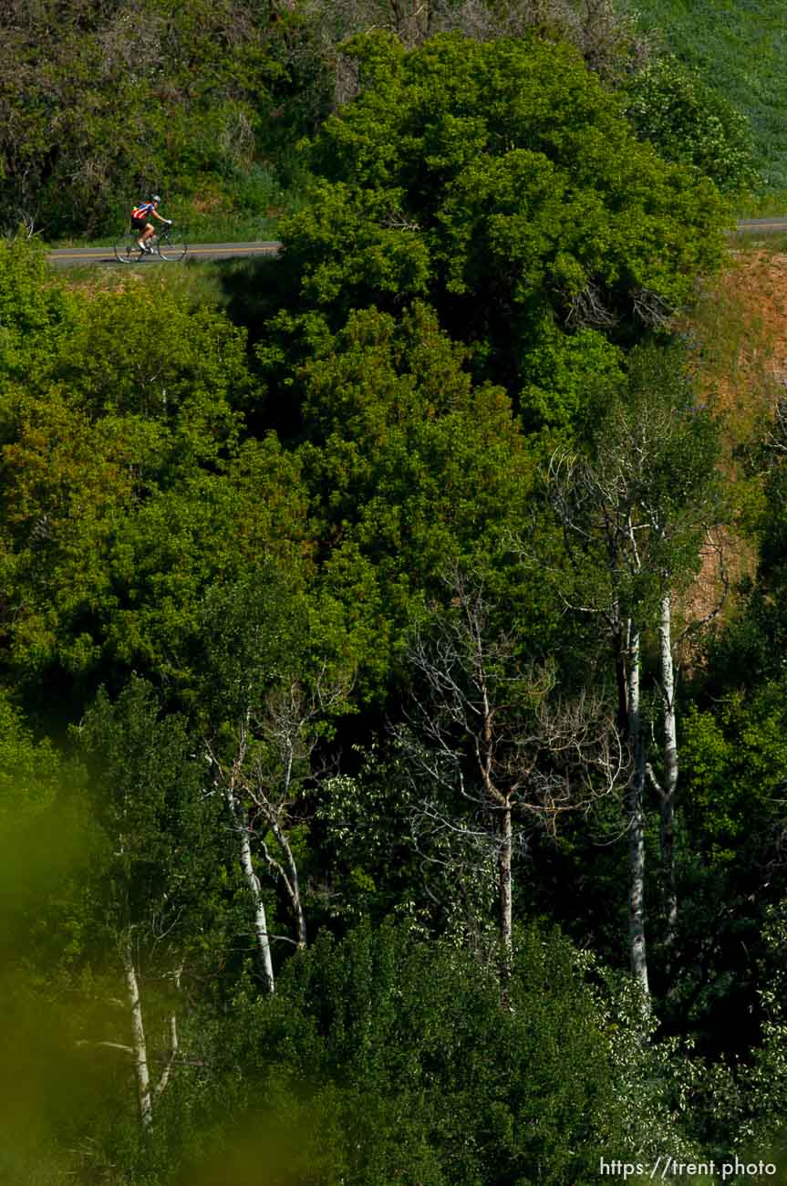 Canon EOS-1D Mark IV