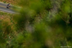 Trent Nelson  |  The Salt Lake Tribune A cyclist rides down from the top of Big Mountain Pass Tuesday June 11, 2013 east of Salt Lake City.