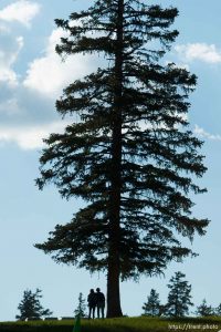 Trent Nelson  |  The Salt Lake Tribune A couple walks under a large pine at the Roots of the Rocks music festival at the Eagle Point Ski Resort Saturday, June 15, 2013 east of Beaver.