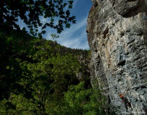 Trent Nelson  |  The Salt Lake Tribune Mindy Shulak climbs the Division Wall, Wednesday June 19, 2013 in American Fork Canyon.